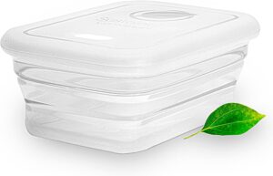 Premium Silicone Collapsible Food Storage Container - 4.9 Cups (1 Pack)